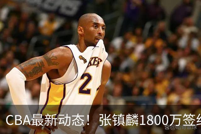 CBA最新动态！张镇麟1800万签约，范子铭离队，加盟劲旅